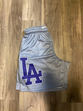Load image into Gallery viewer, Well Funded Dodgers
