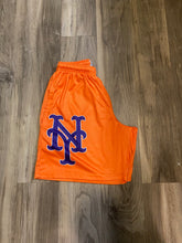 Load image into Gallery viewer, Well Funded Mets
